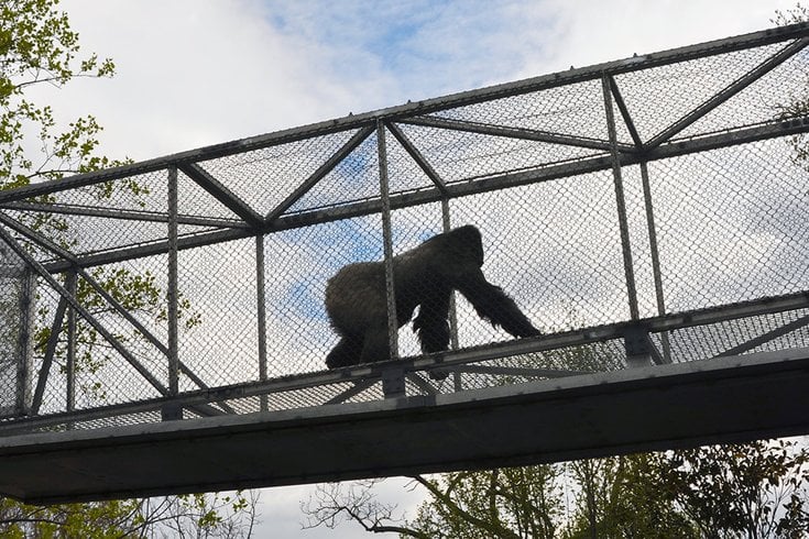 Philadelphia Zoo Results Image