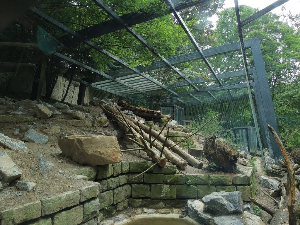 Philadelphia Zoo Challenge Image