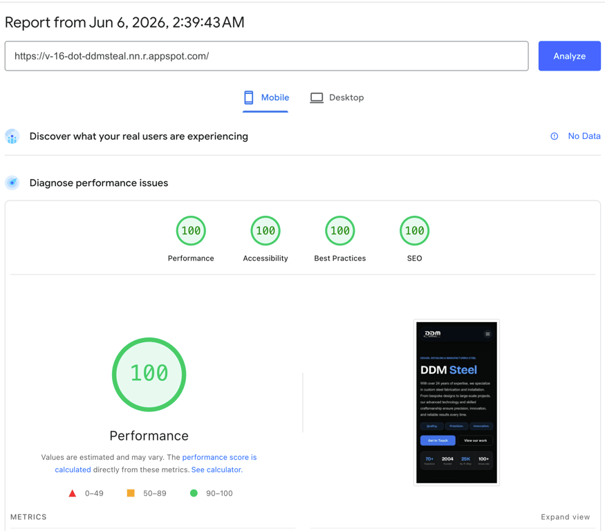 DDM Steel Google PageSpeed performance score 100