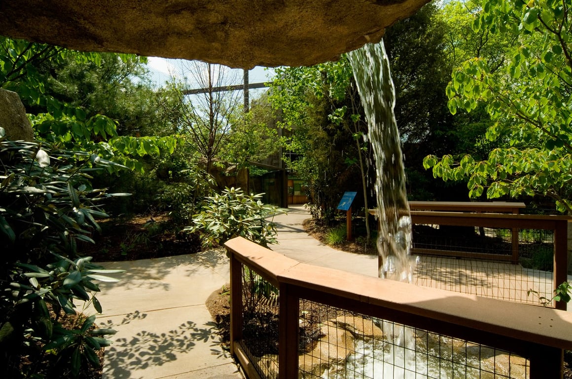 Philadelphia Zoo Solution Image 2