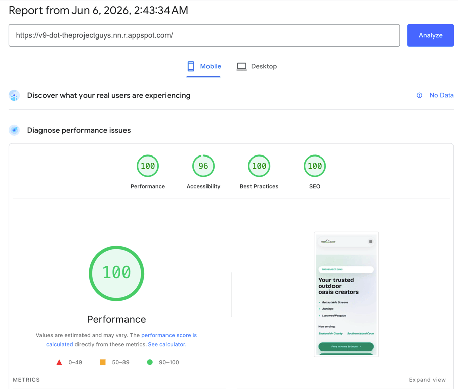 The Project Guys Google PageSpeed performance score 100