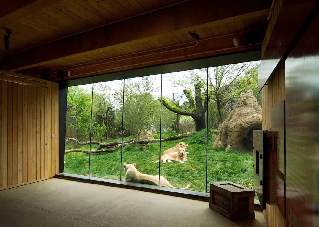 Philadelphia Zoo Infrastructure Enhancements image