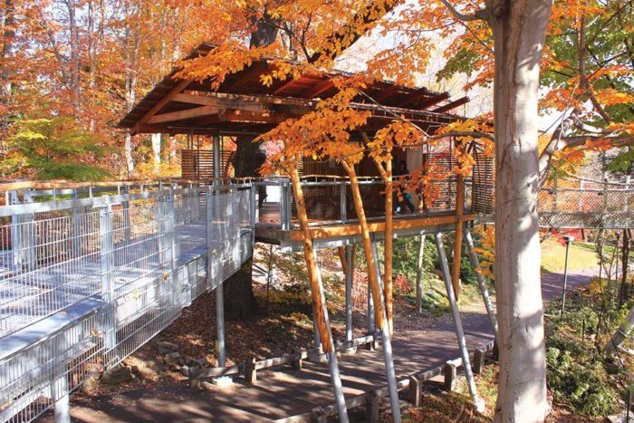 Morris Arboretum Challenge Image