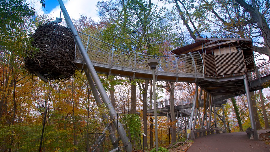 Morris Arboretum Approach Image