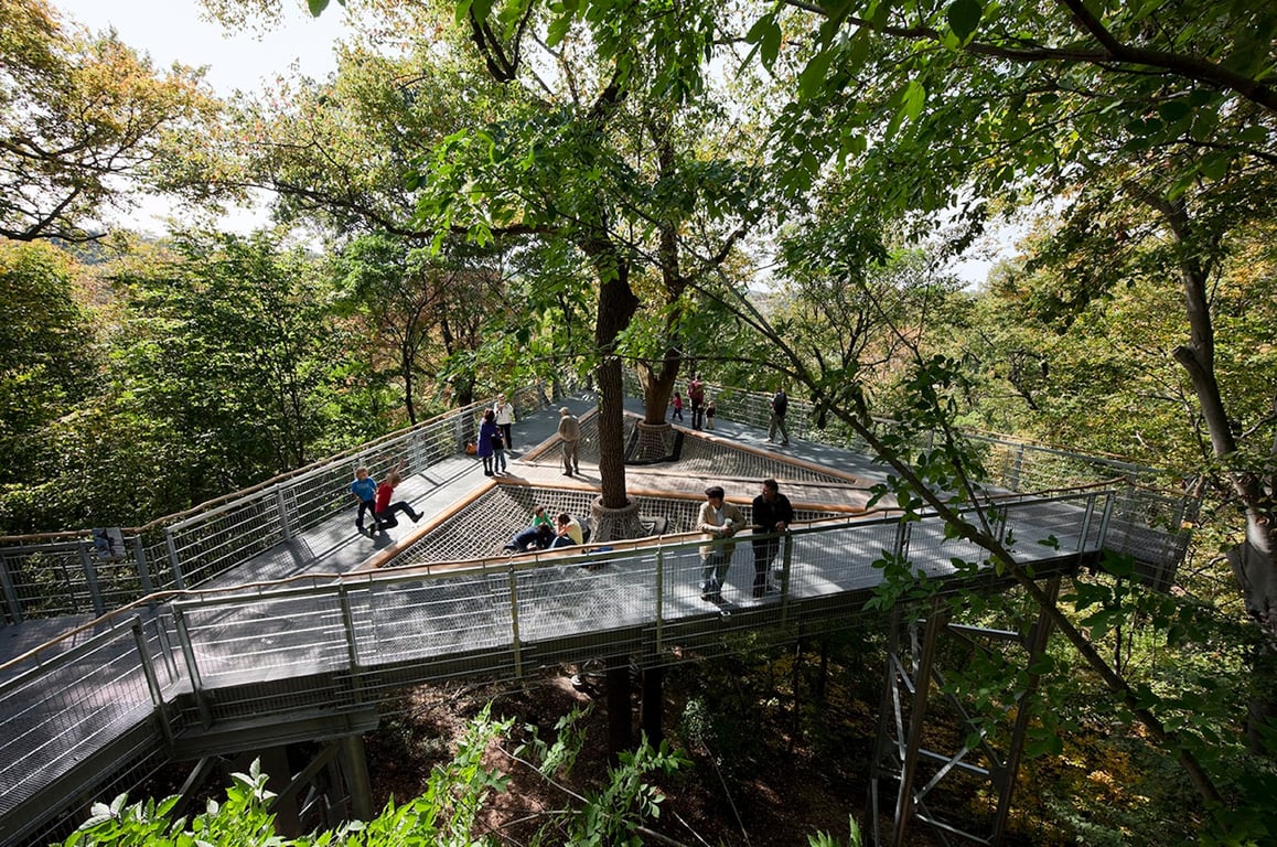 Morris Arboretum Solution Image 2