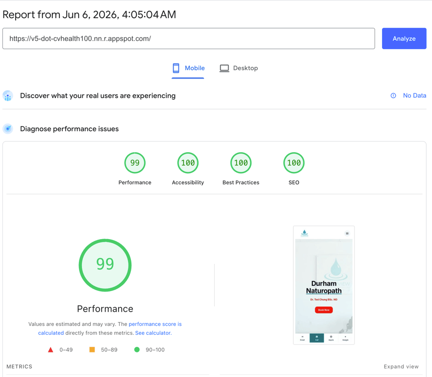 Clearview Health Google PageSpeed performance score 100