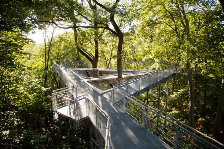 Morris Arboretum Results Image