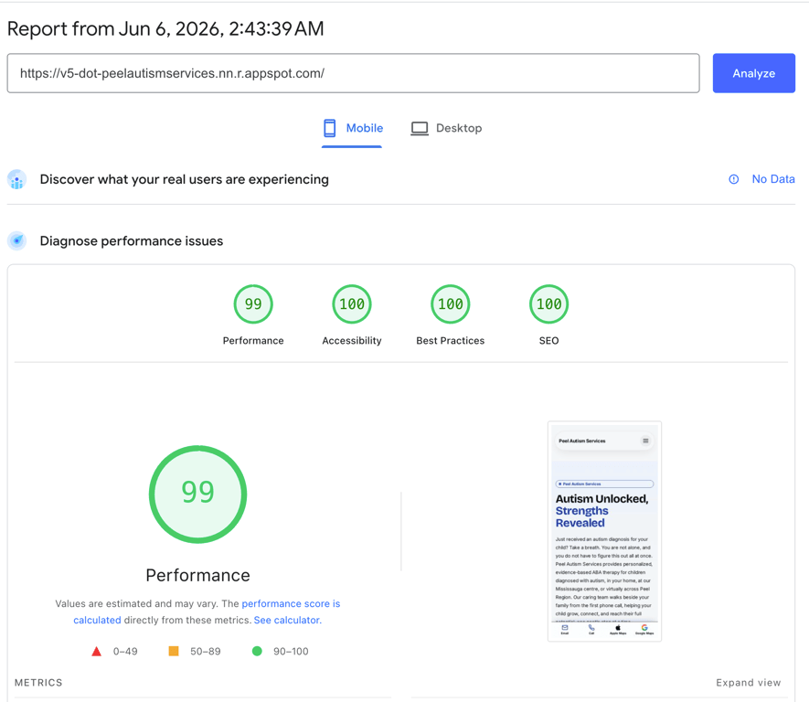 Peel Autism Services Google PageSpeed performance score 100