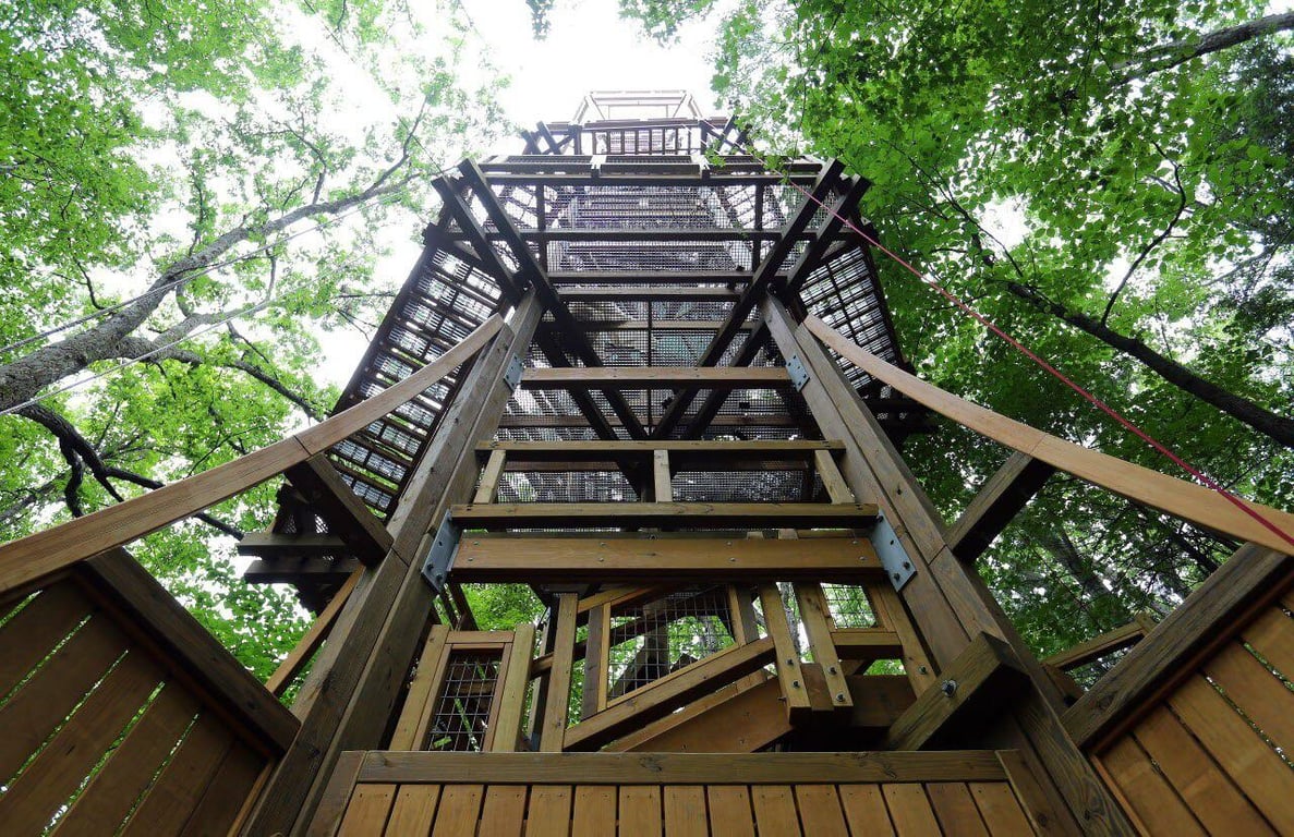 Morris Arboretum Tree Top Catwalk System image