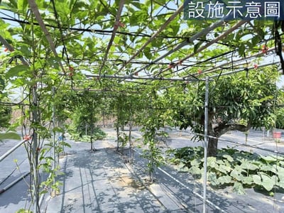 夢想中的退休生活！美濃合法農舍，讓您回家就像度假 照片 18