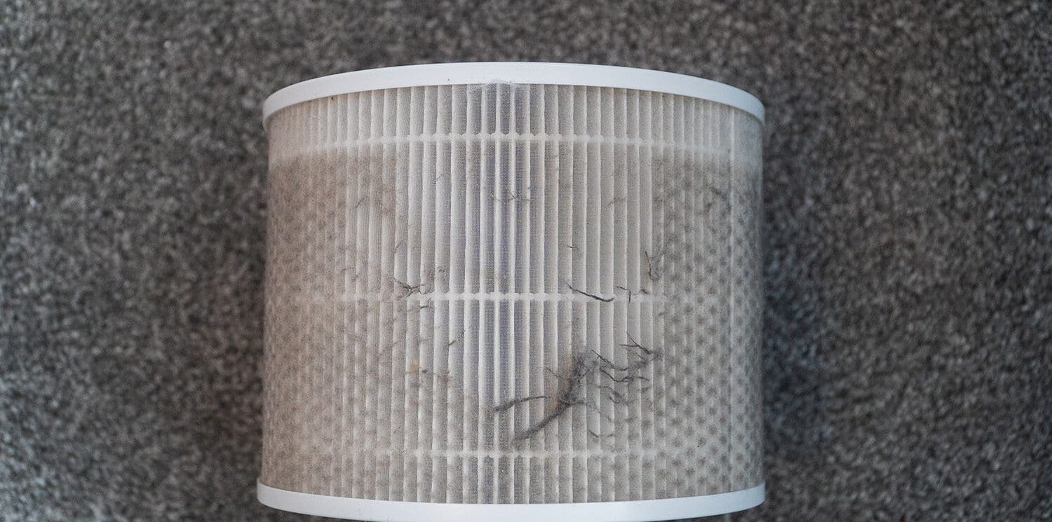 Levoit Problems Filter needs cleaning