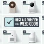 air purifiers for weed odor
