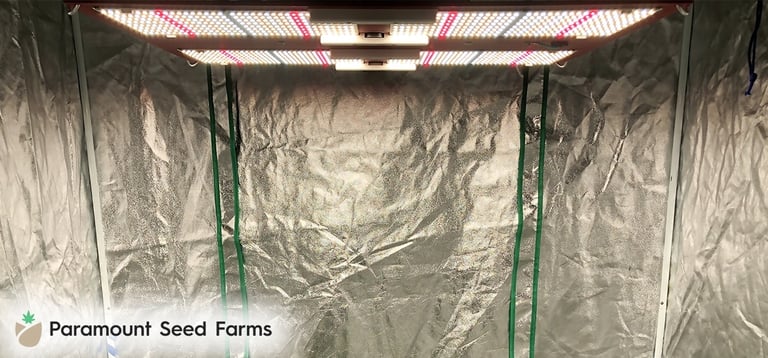 Best LED Grow Lights for Cannabis
