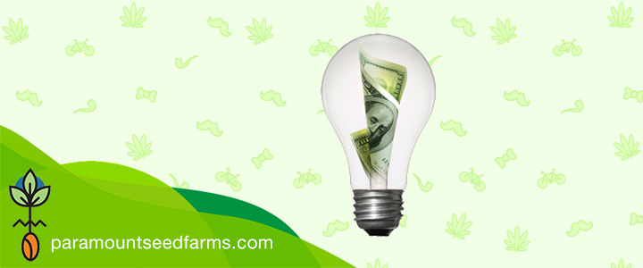 Grow Light Electricity Costs