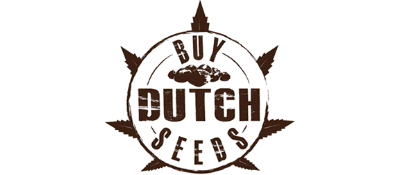 Buy Dutch Seeds Review