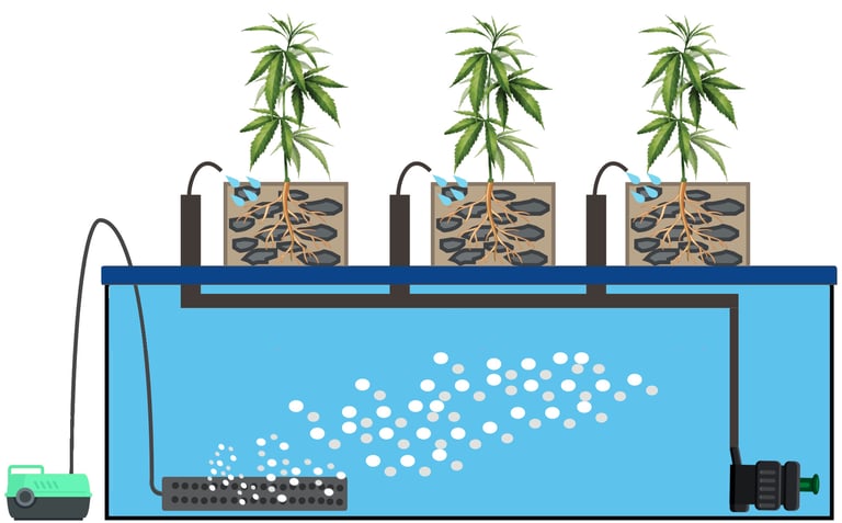 Drip Hydroponic System Diagram
