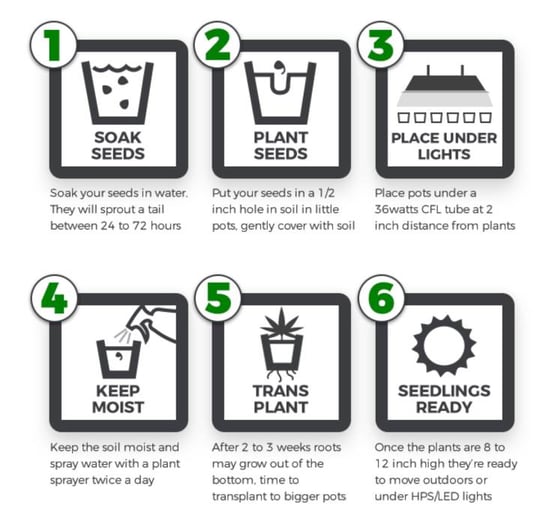ILGM Seed Bank Grow Resources