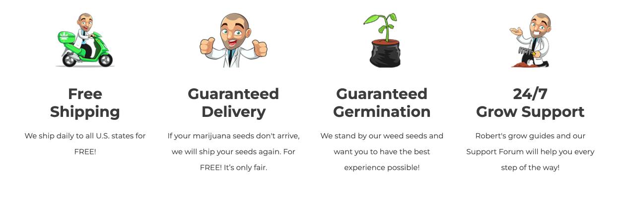 ILGM Seeds Info