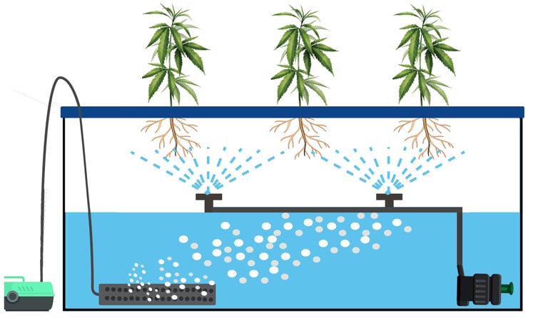 Aeroponics Hydroponic System Diagram