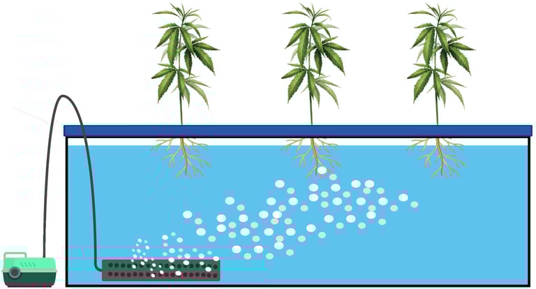 DWC Hydroponic System Diagram