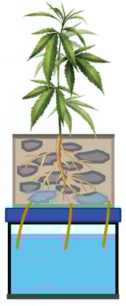 wick hydroponic system