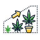 cannabis plant growth stages icon