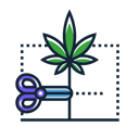 Cannabis Plant Training Icon