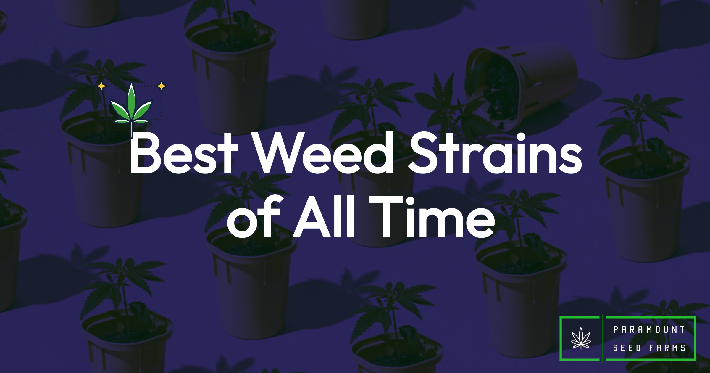 best weed strains of all time