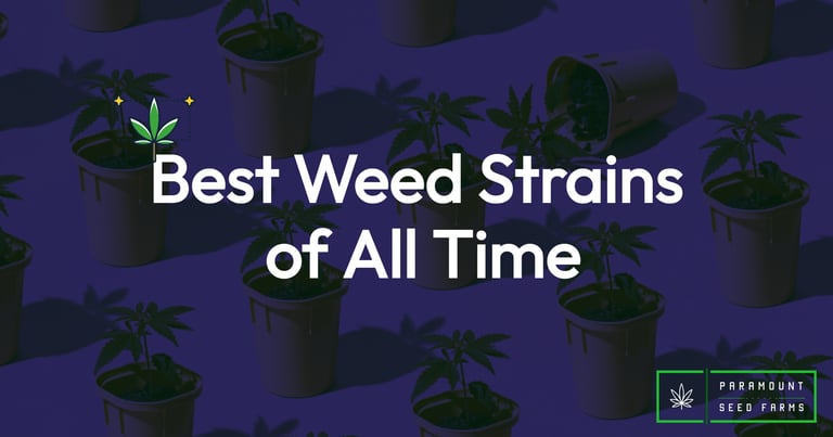 best weed strains of all time