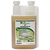 Get Essentria IC3 insecticide on Amazon.com - this can be a tool in the fight against broad mites or 