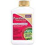 Get Pyrethin products like Bonide on Amazon.com to kill your leafhoppers!