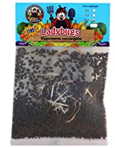 Buy ladybugs on Amazon.com to fight your leafhoppers