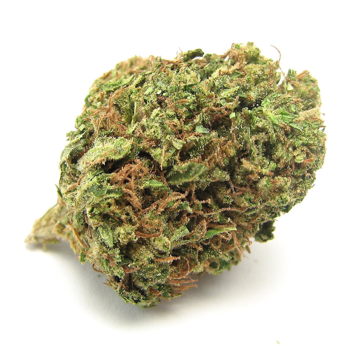 115 Best Weed Strains of All Time 41 weed strain image