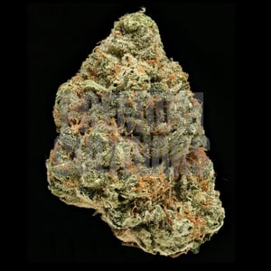 3 Kings Strain Review: A Royal Cannabis Experience 1