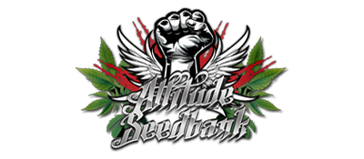 The Attitude Seedbank Review: Unpacking Attitude Seeds Online Store