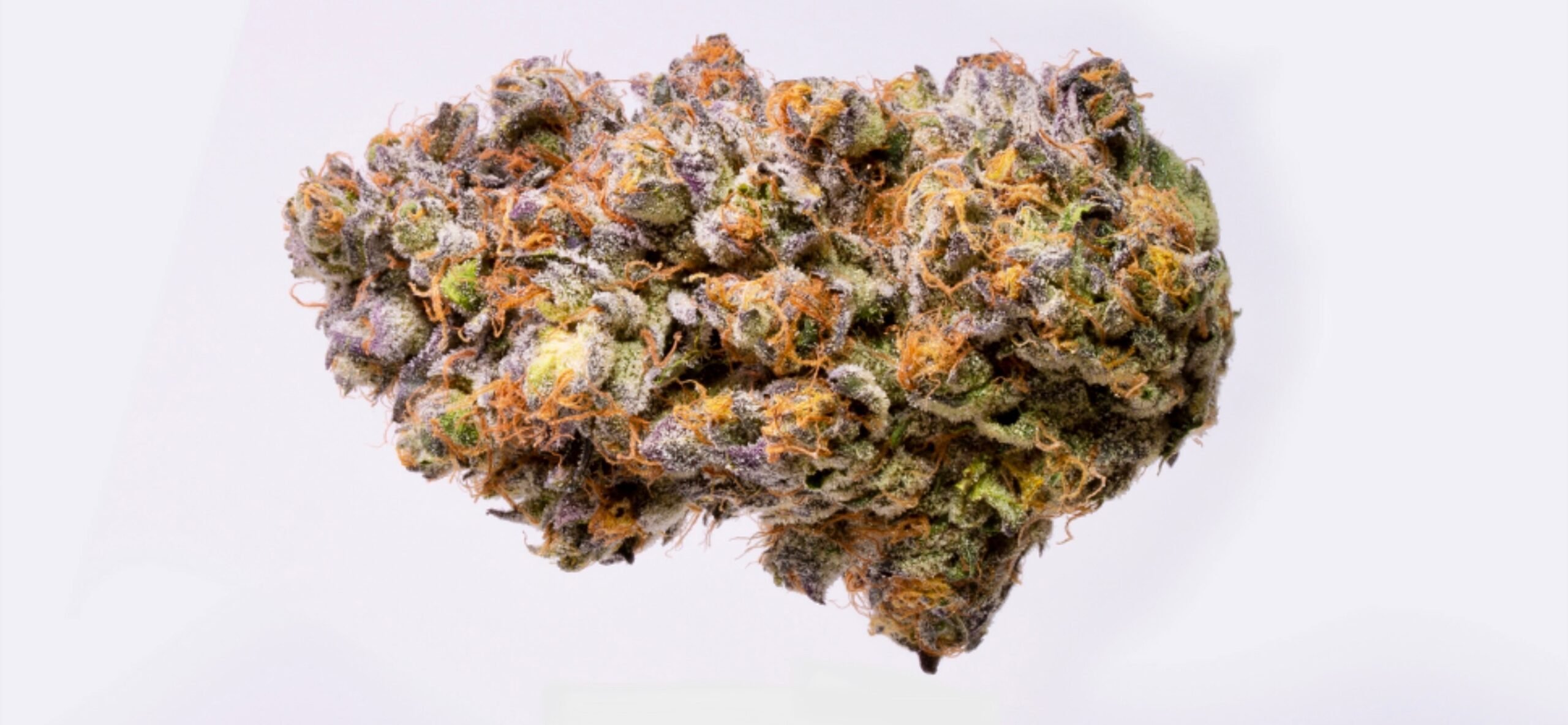 115 Best Weed Strains of All Time 45 weed strain image