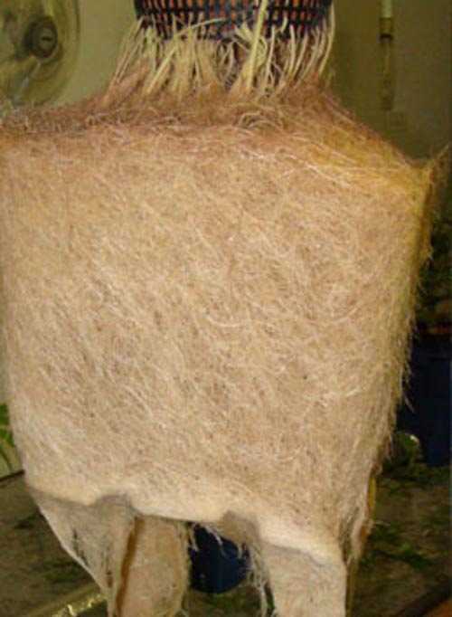 DWC hydroponic system - root mass DWC hydroponic system - root mass