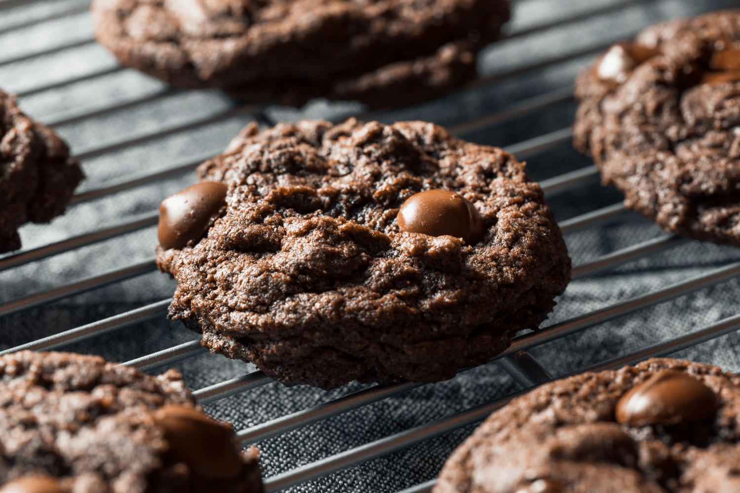 double chocolate chip cookies