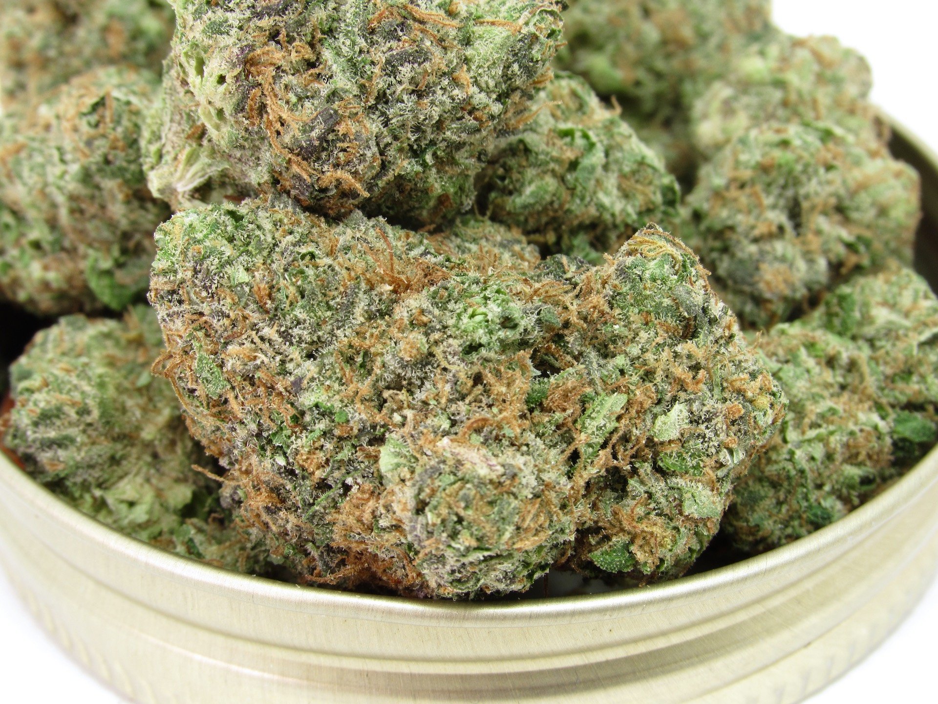 115 Best Weed Strains of All Time 59 weed strain image