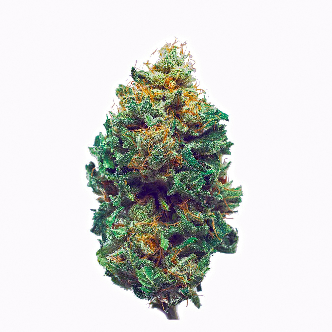 115 Best Weed Strains of All Time 53 weed strain image