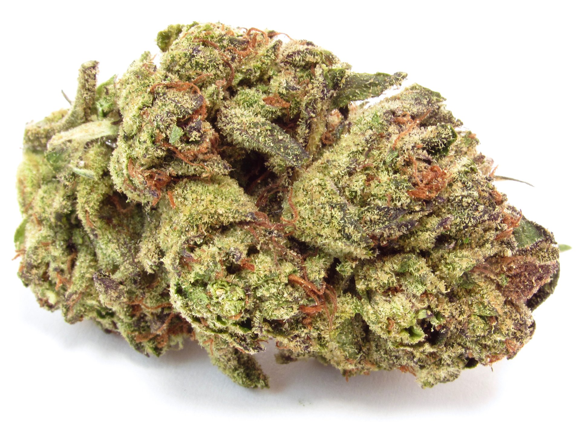 115 Best Weed Strains of All Time 20 weed strain image