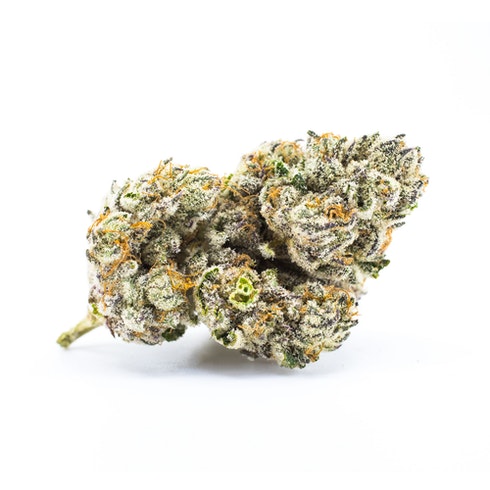 115 Best Weed Strains of All Time 48 weed strain image