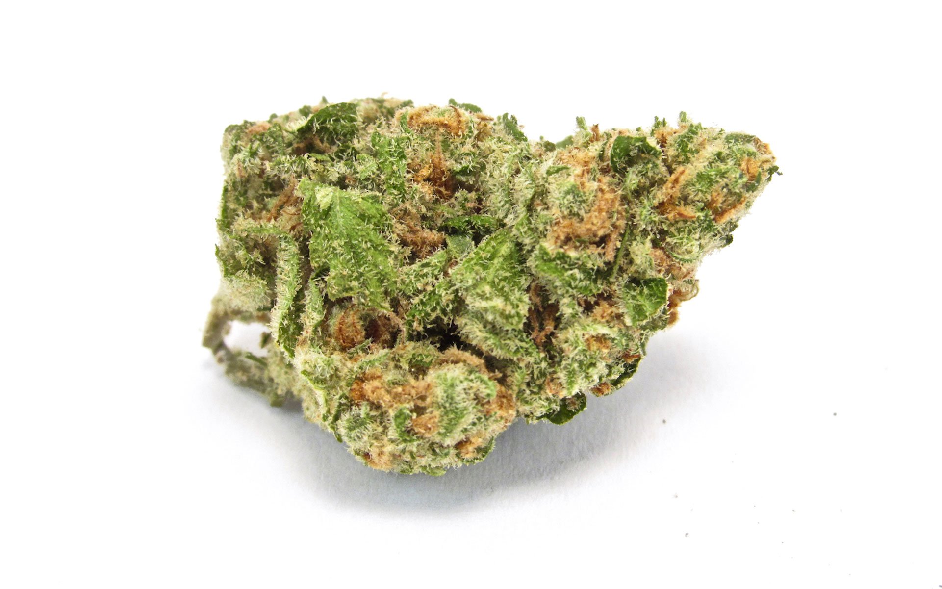 115 Best Weed Strains of All Time 19 weed strain image