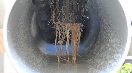 NFT Roots in Channel NFT Roots in Channel