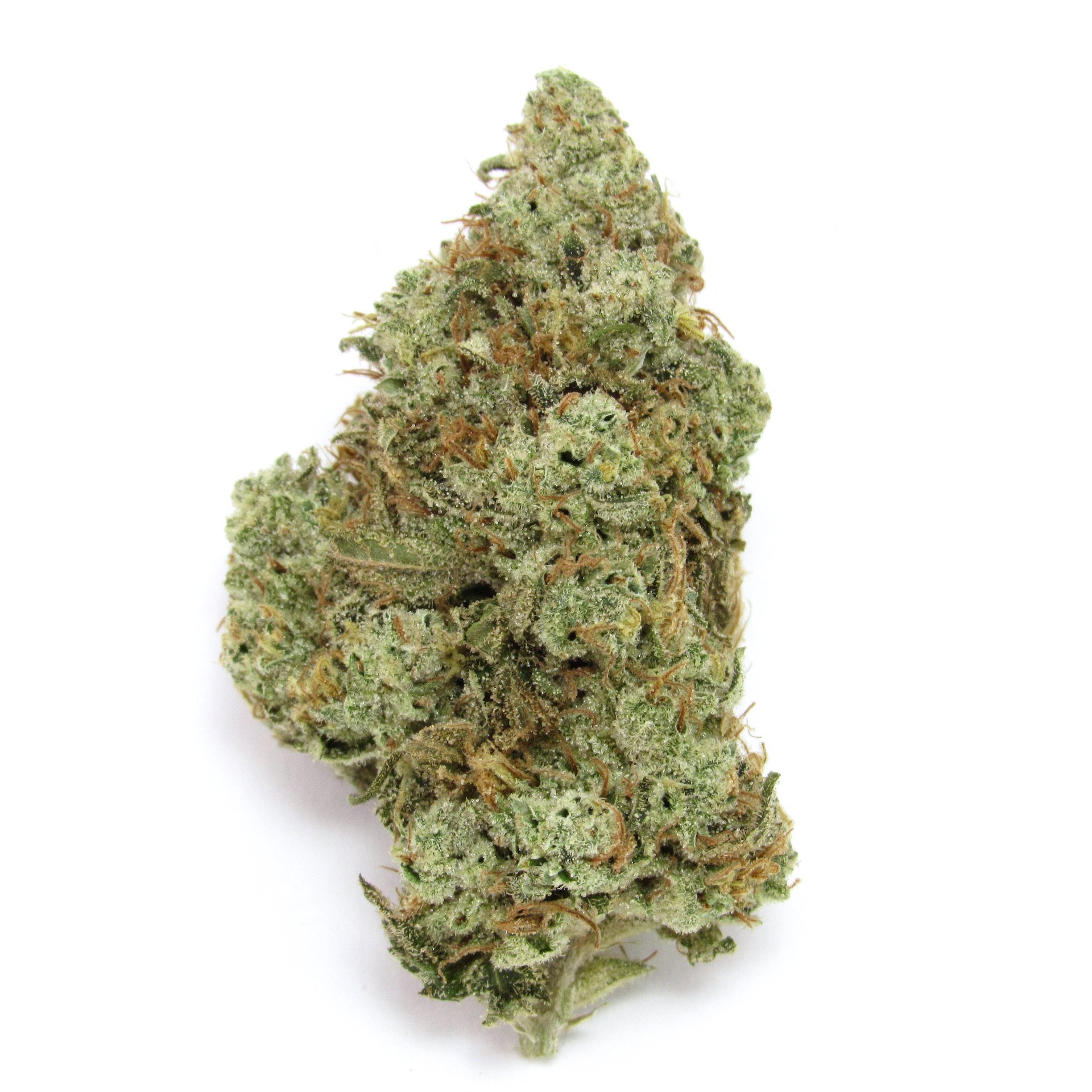 115 Best Weed Strains of All Time 68 weed strain image