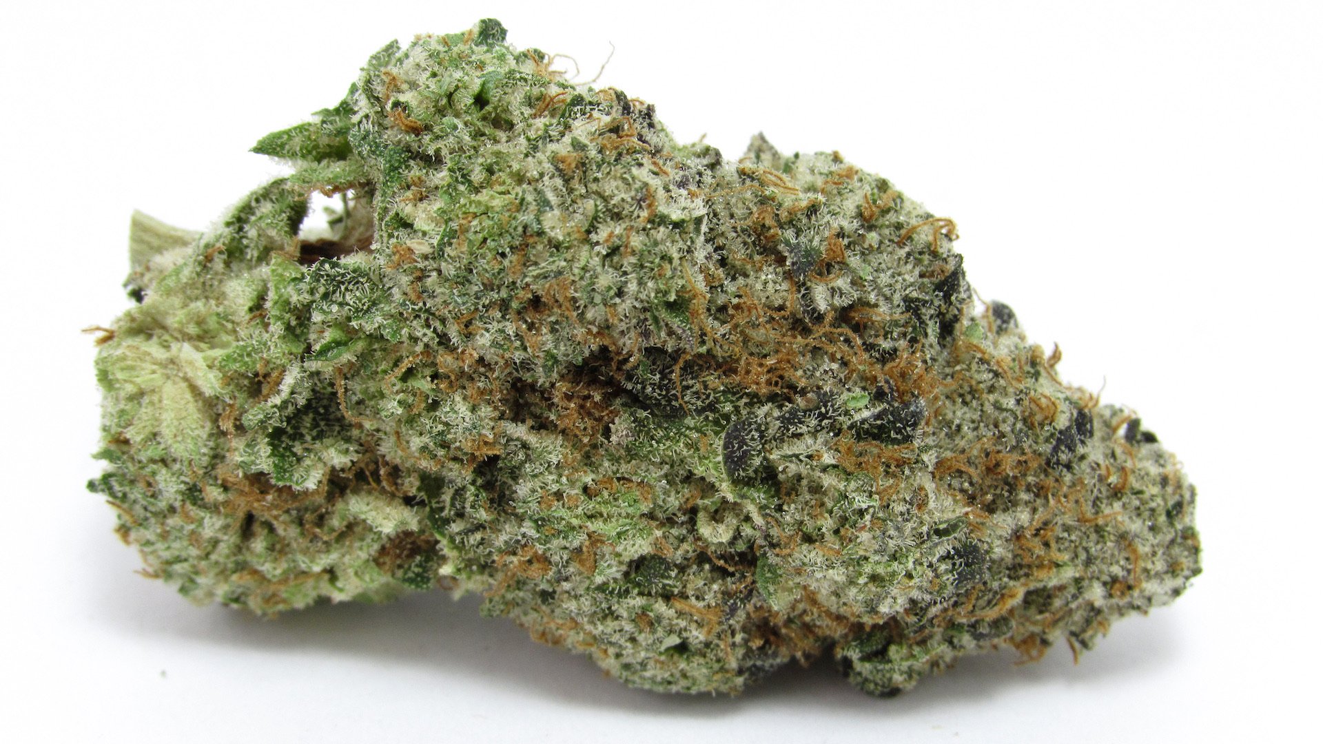 best weed strains image