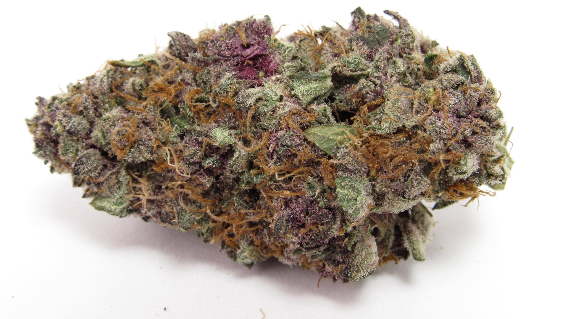115 Best Weed Strains of All Time 70 weed strain image