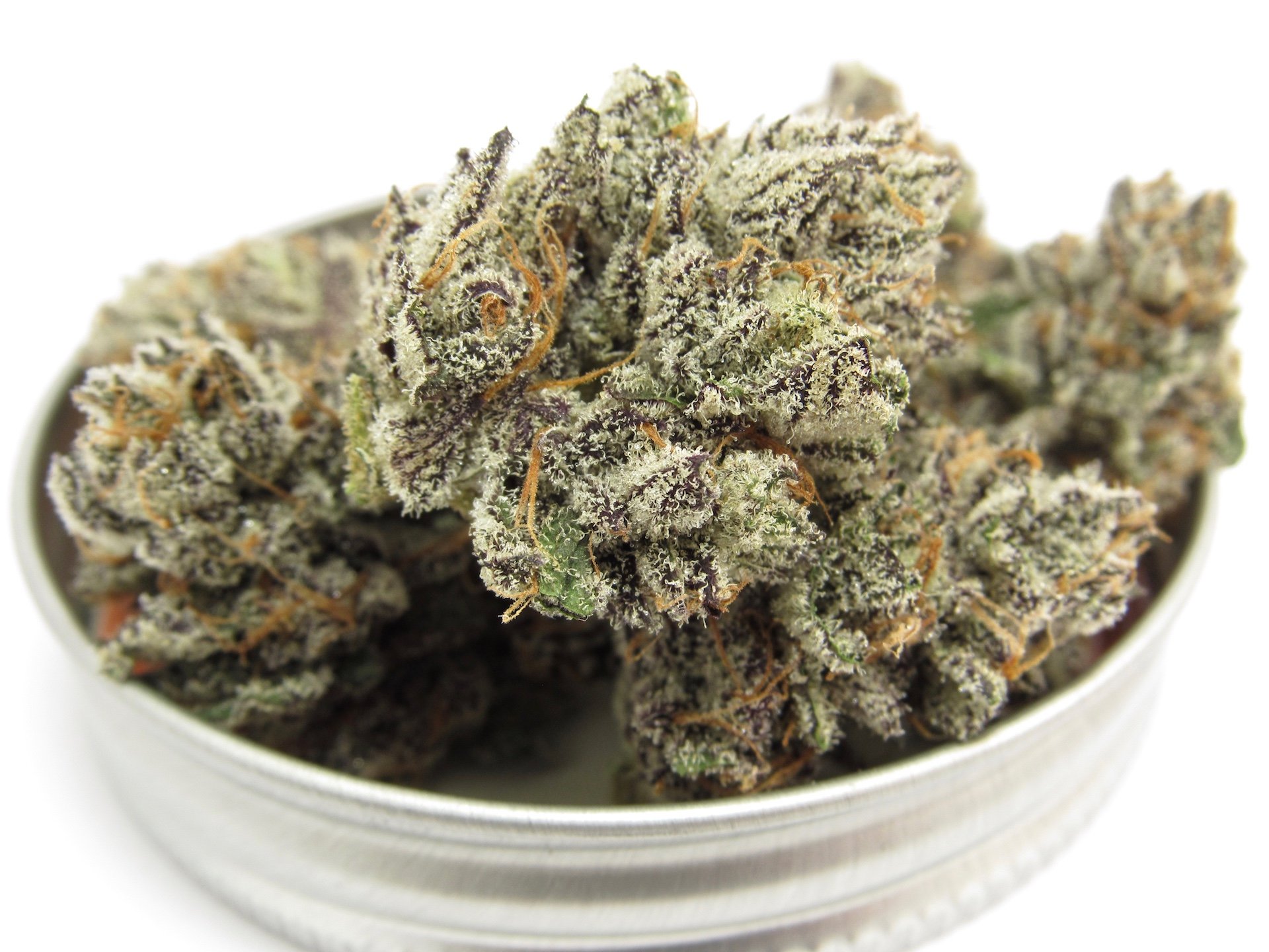 115 Best Weed Strains of All Time 67 weed strain image