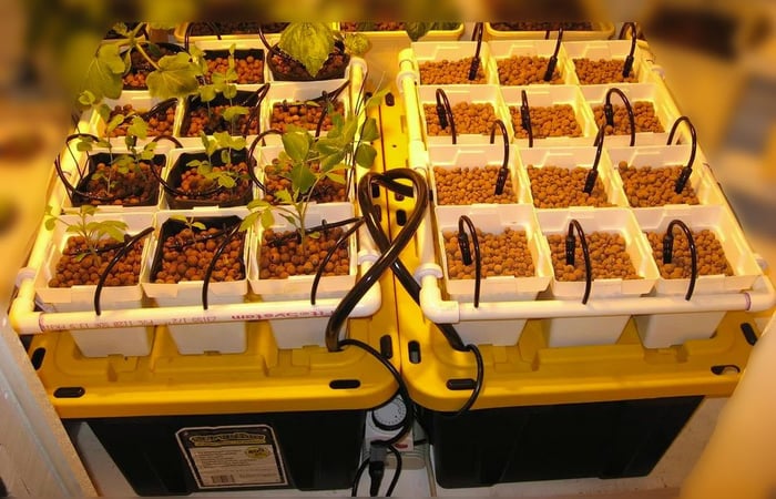 DIY Drip Hydroponic System