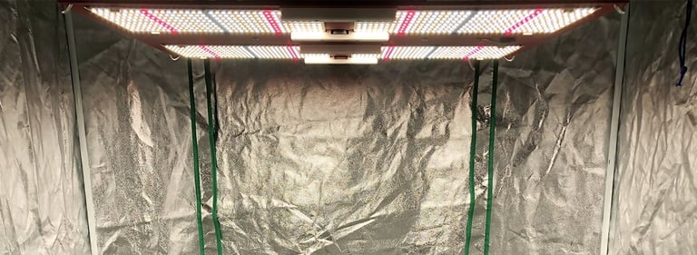 5 Best LED Grow Lights of 2024 - Indoor Grow Lights Review 2 5 Best LED Grow Lights of 2024 - Indoor Grow Lights Review 1